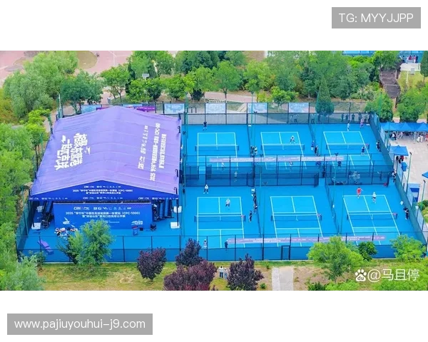 PA体育网论坛：多元化体育内容覆盖，涵盖足球篮球、网球、乒乓球等多项运动