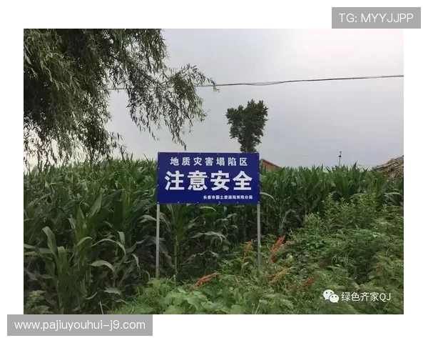 快三游戏安全保障措施，确保玩家资金与个人信息安全